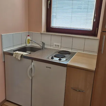 Modrina Guest Apartamento Kobarid