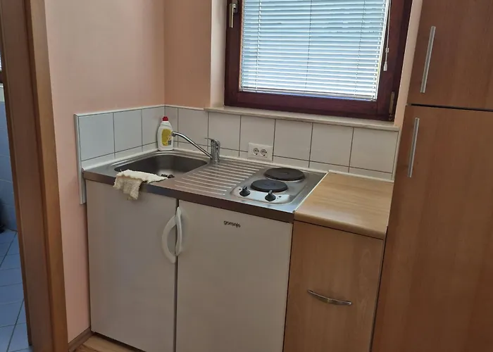 Modrina Guest Apartament Kobarid